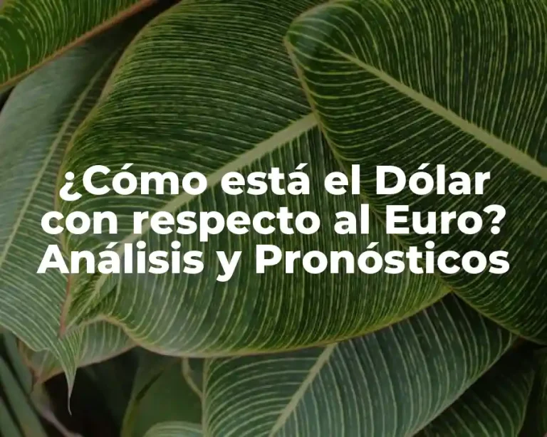 ¿Cómo está el Dólar con respecto al Euro? Análisis y Pronósticos