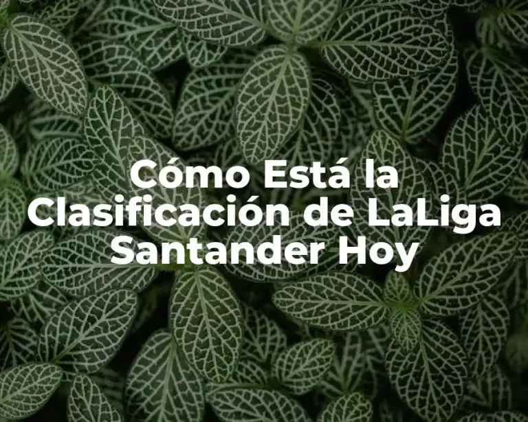 Cómo Está la Clasificación de LaLiga Santander Hoy