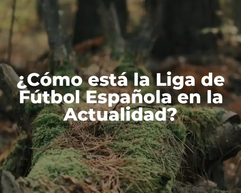 ¿Cómo está la Liga de Fútbol Española en la Actualidad?