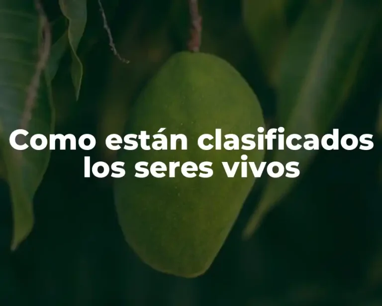 Como están clasificados los seres vivos