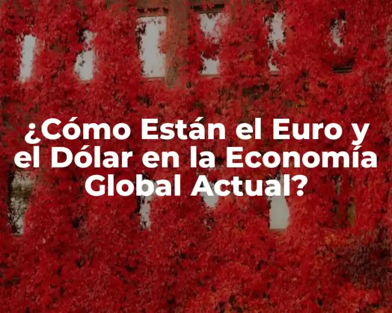 ¿Cómo Están el Euro y el Dólar en la Economía Global Actual?