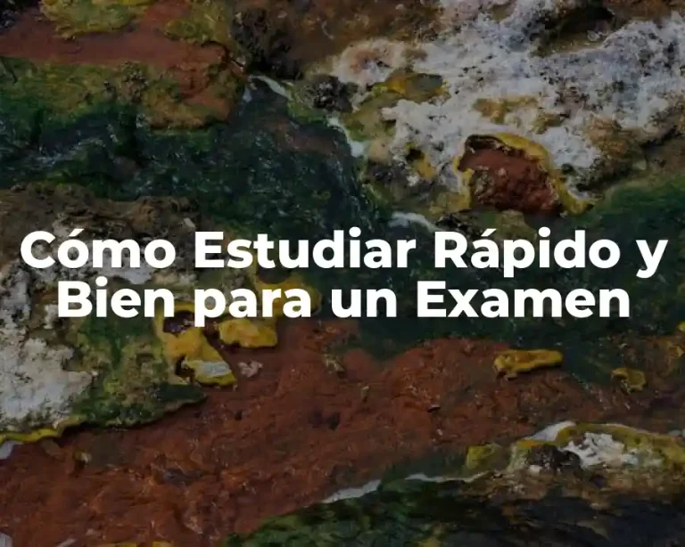 Cómo Estudiar Rápido y Bien para un Examen