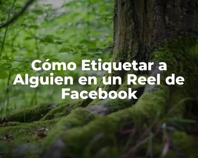 Cómo Etiquetar a Alguien en un Reel de Facebook
