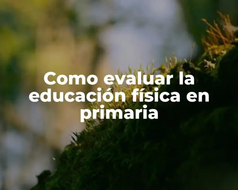 Como evaluar la educación física en primaria