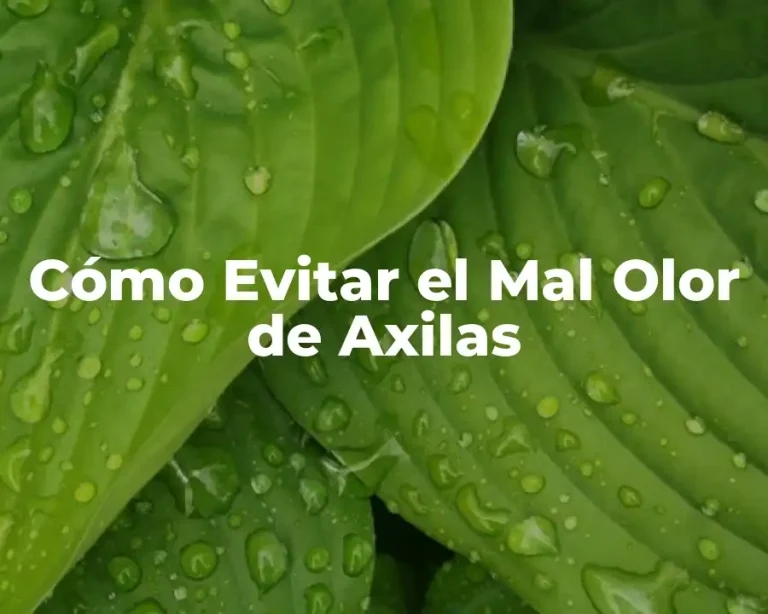 Cómo Evitar el Mal Olor de Axilas