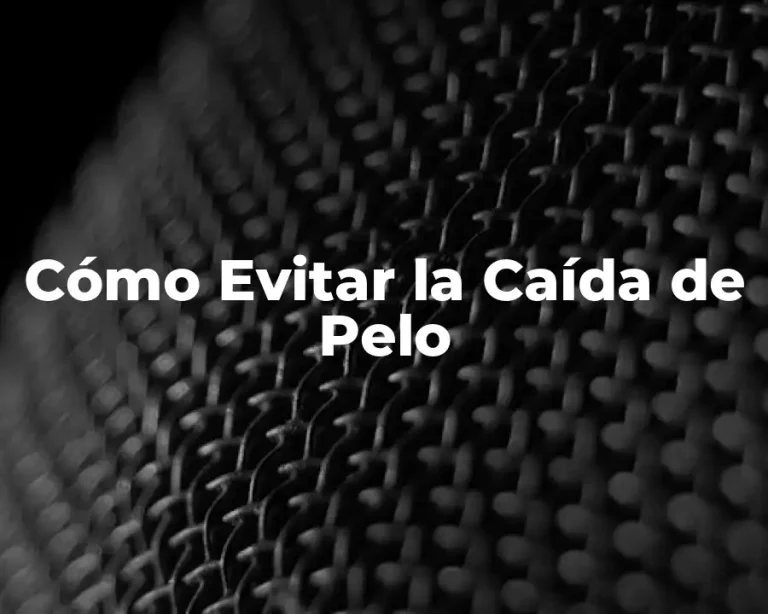 Cómo Evitar la Caída de Pelo