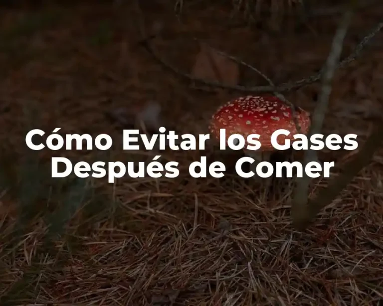 Cómo Evitar los Gases Después de Comer