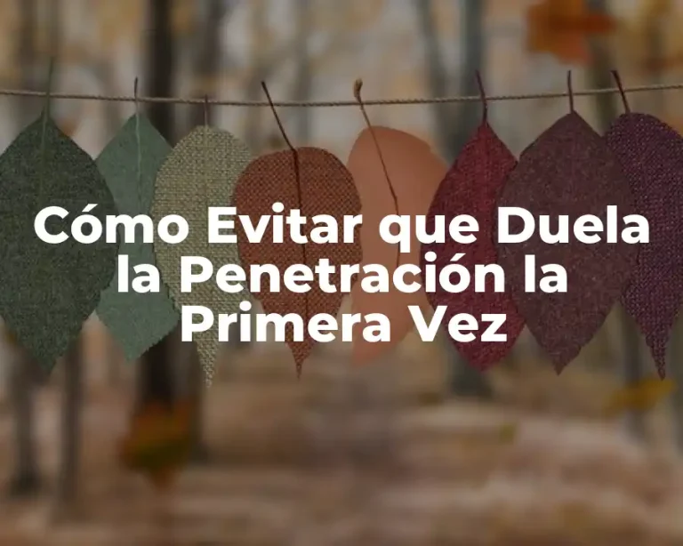 Cómo Evitar que Duela la Penetración la Primera Vez