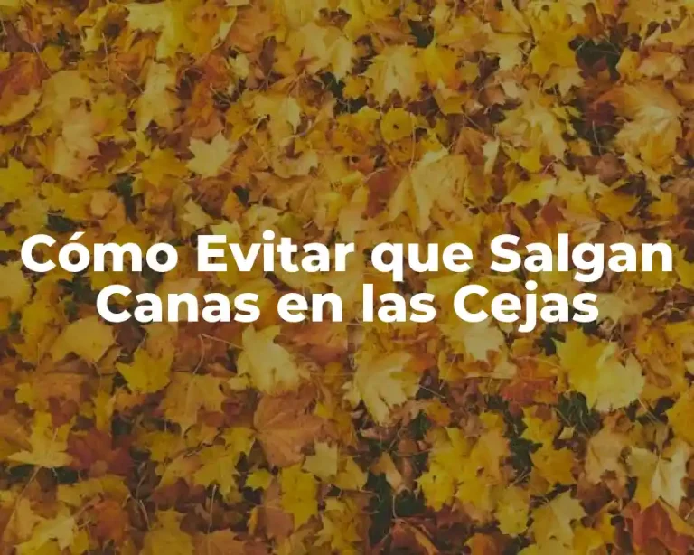 Cómo Evitar que Salgan Canas en las Cejas