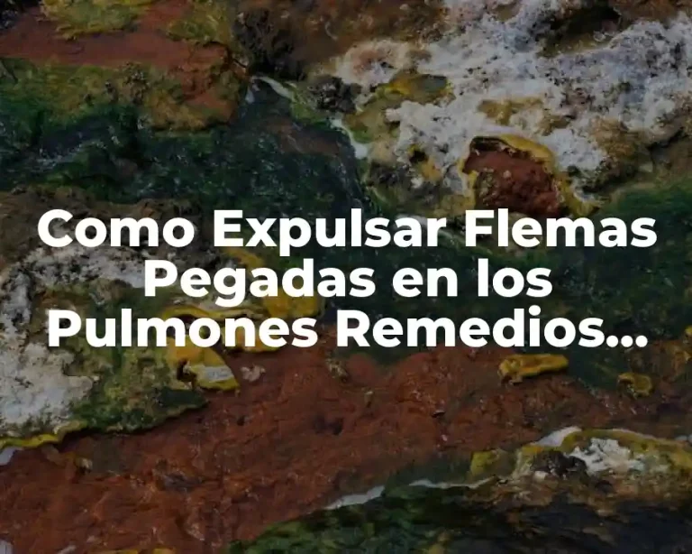 Como Expulsar Flemas Pegadas en los Pulmones Remedios Caseros