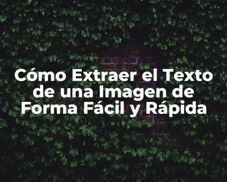 Cómo Extraer el Texto de una Imagen de Forma Fácil y Rápida