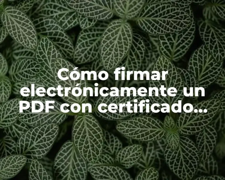 Cómo firmar electrónicamente un PDF con certificado digital