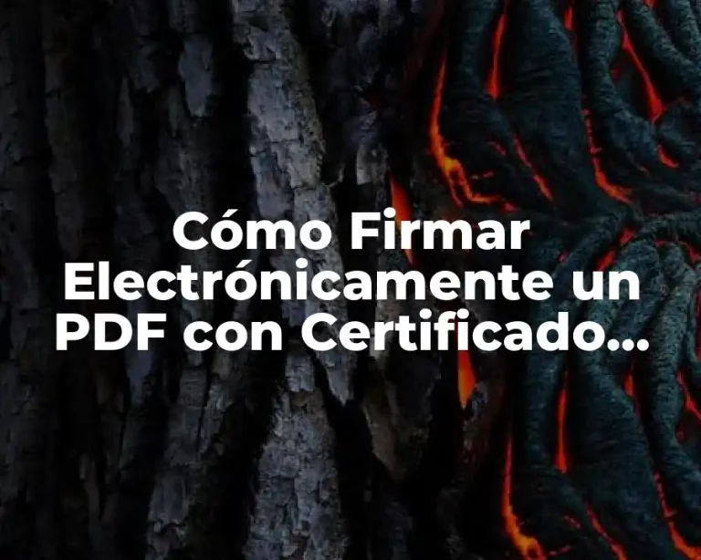 Cómo Firmar Electrónicamente un PDF con Certificado Digital