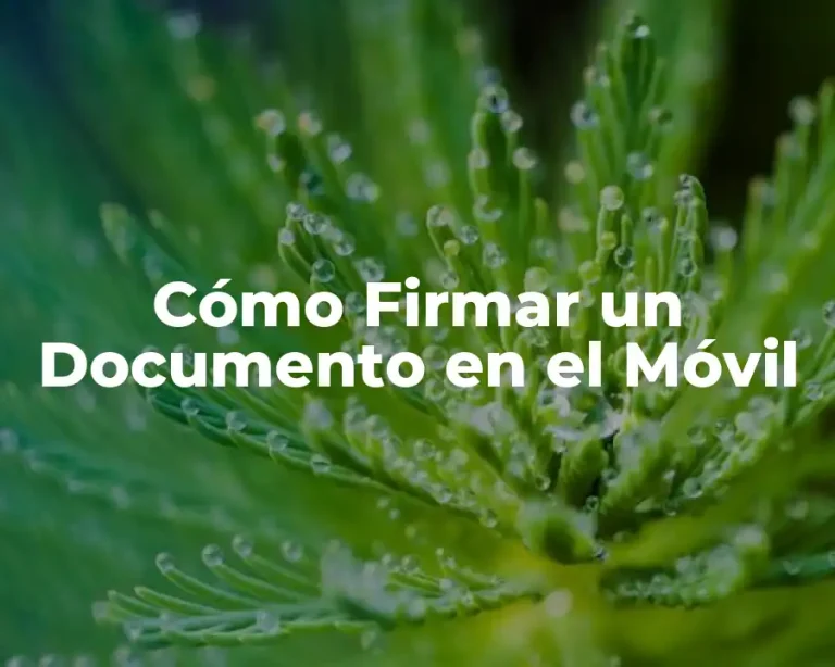 Cómo Firmar un Documento en el Móvil