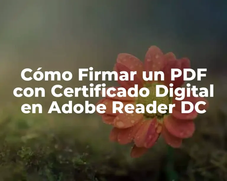 Cómo Firmar un PDF con Certificado Digital en Adobe Reader DC