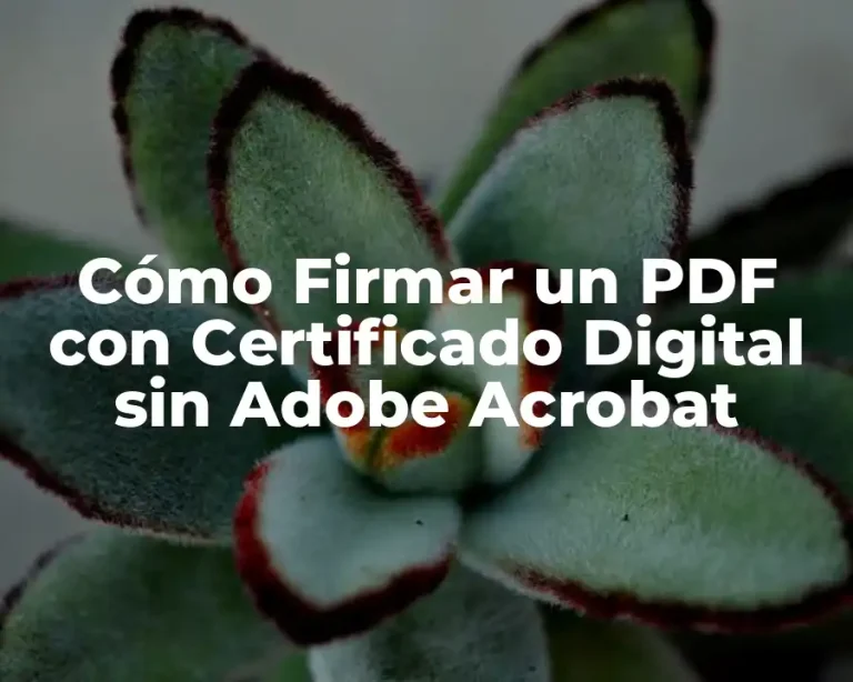 Cómo Firmar un PDF con Certificado Digital sin Adobe Acrobat