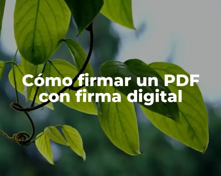 Cómo firmar un PDF con firma digital