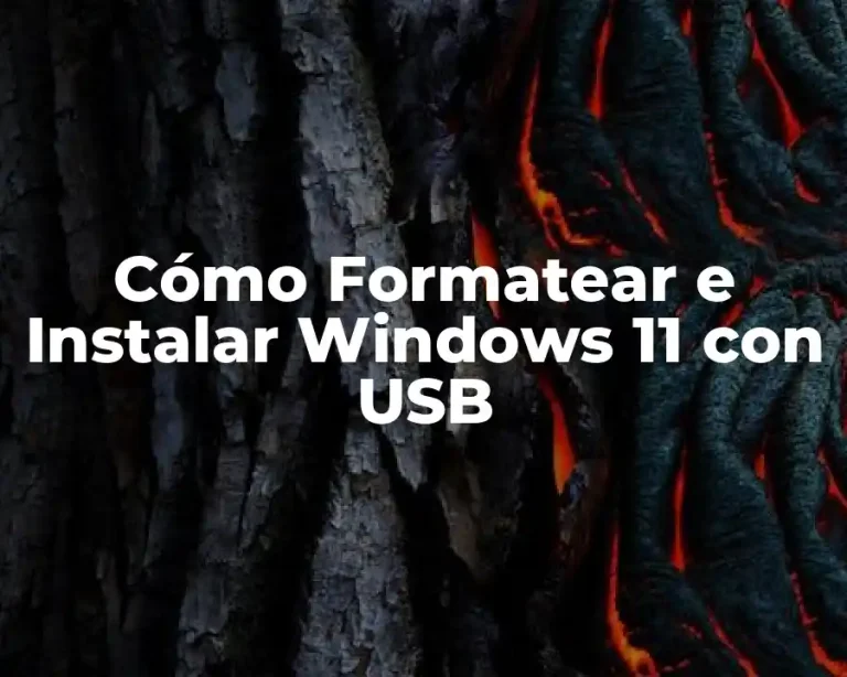 Cómo Formatear e Instalar Windows 11 con USB