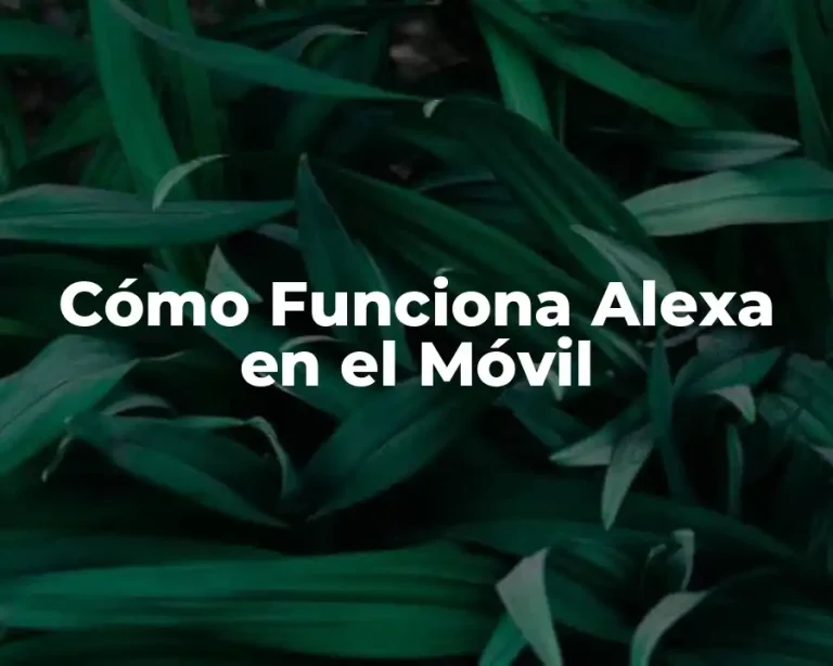 Cómo Funciona Alexa en el Móvil