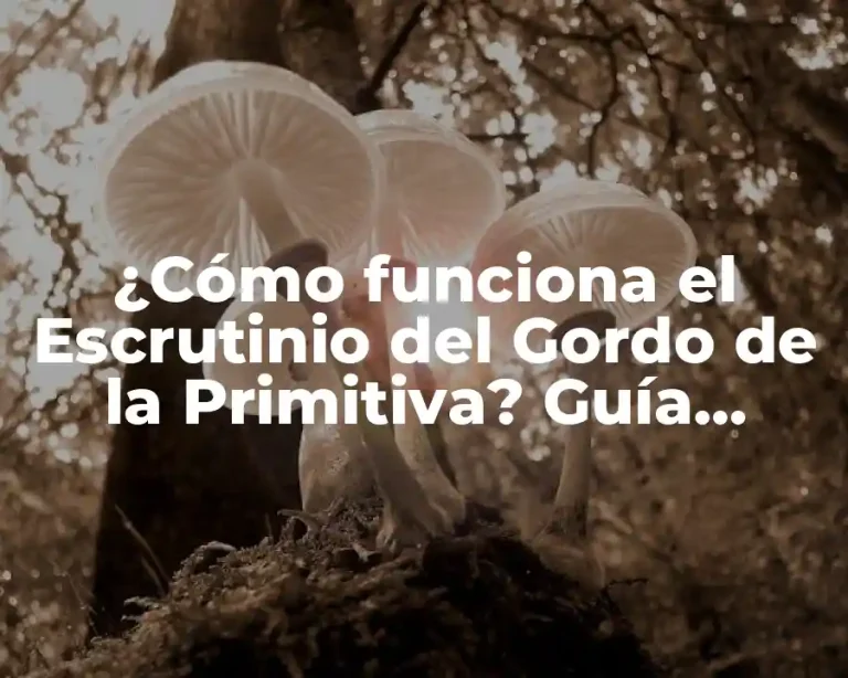 ¿Cómo funciona el Escrutinio del Gordo de la Primitiva? Guía Completa y Detallada