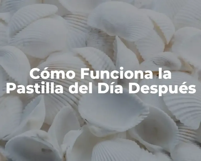 Cómo Funciona la Pastilla del Día Después
