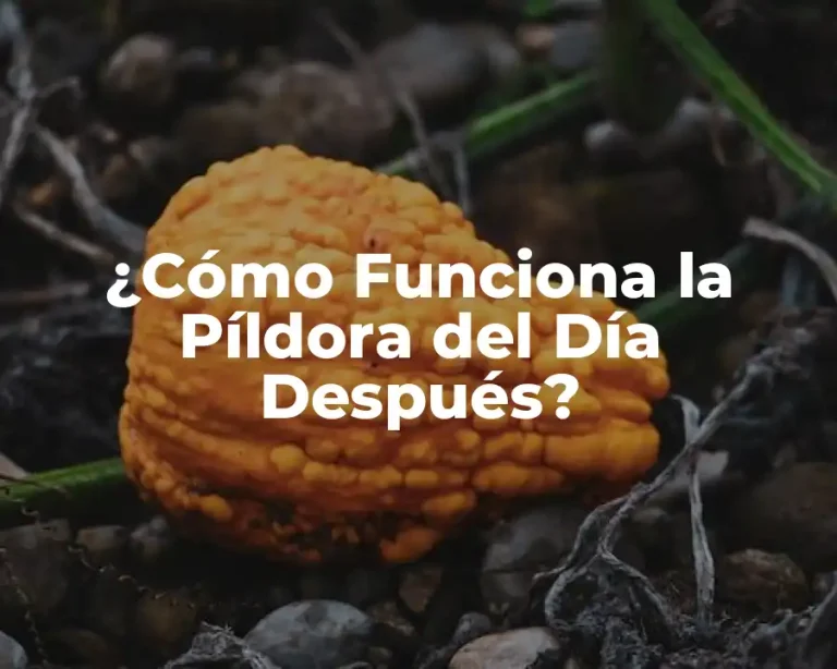 ¿Cómo Funciona la Píldora del Día Después?