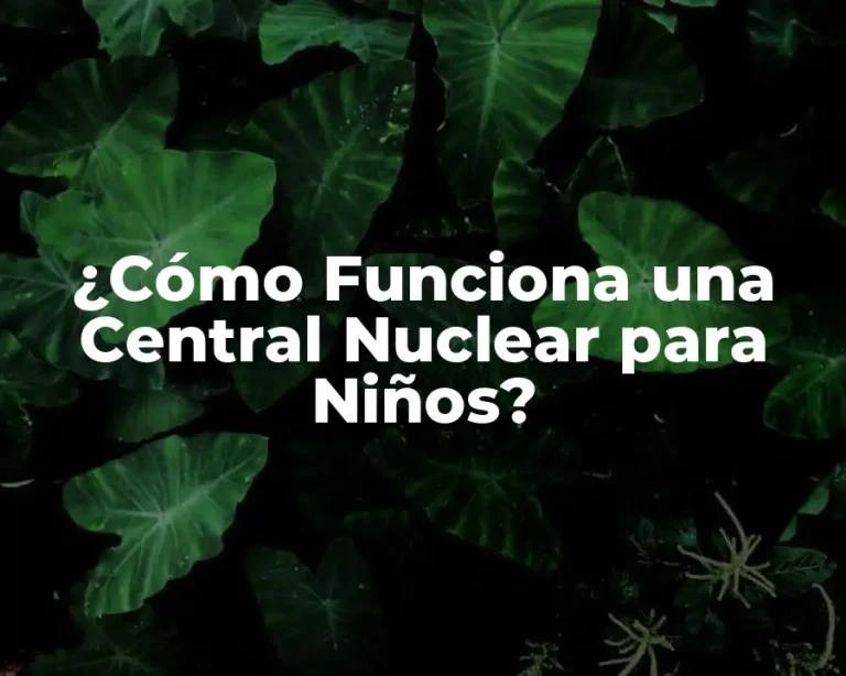 ¿Cómo Funciona una Central Nuclear para Niños?
