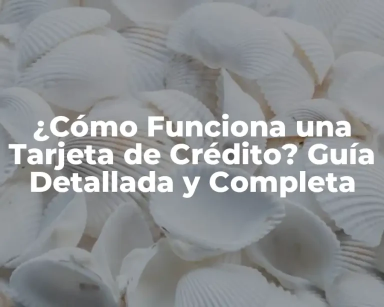 ¿Cómo Funciona una Tarjeta de Crédito? Guía Detallada y Completa