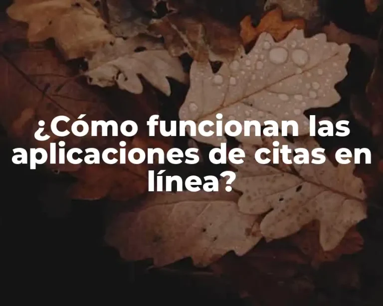 ¿Cómo funcionan las aplicaciones de citas en línea?