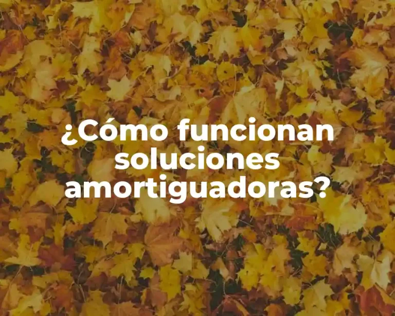 ¿Cómo funcionan soluciones amortiguadoras?