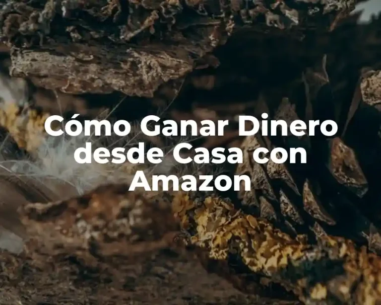Cómo Ganar Dinero desde Casa con Amazon