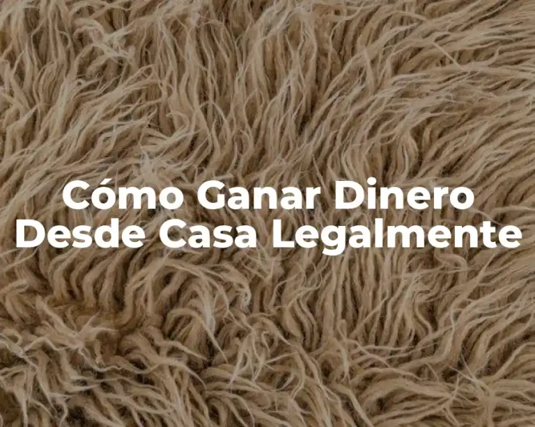 Cómo Ganar Dinero Desde Casa Legalmente