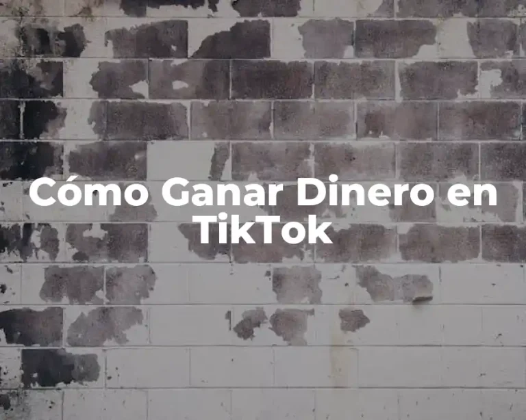 Cómo Ganar Dinero en TikTok