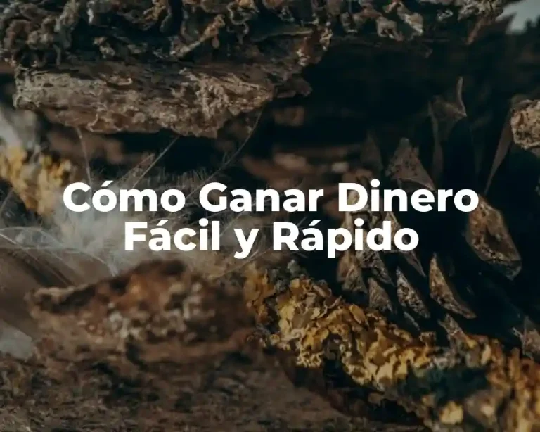 Cómo Ganar Dinero Fácil y Rápido