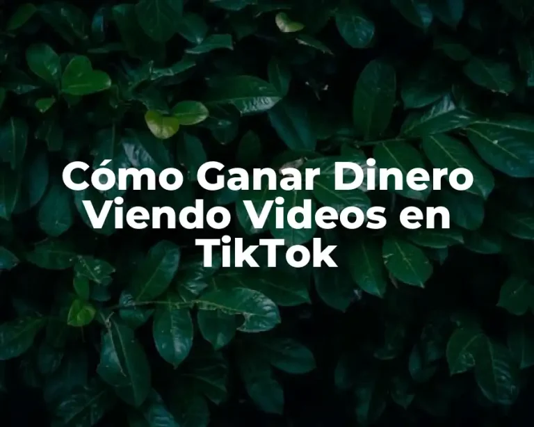 Cómo Ganar Dinero Viendo Videos en TikTok