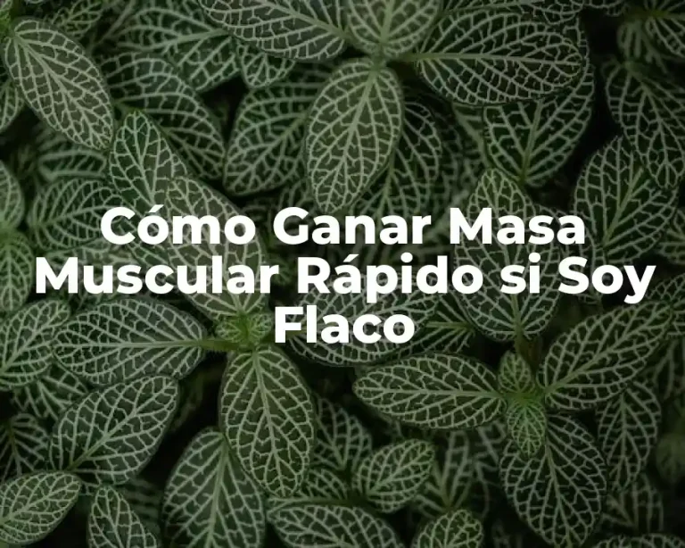 Cómo Ganar Masa Muscular Rápido si Soy Flaco