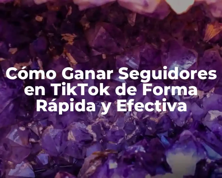 Cómo Ganar Seguidores en TikTok de Forma Rápida y Efectiva