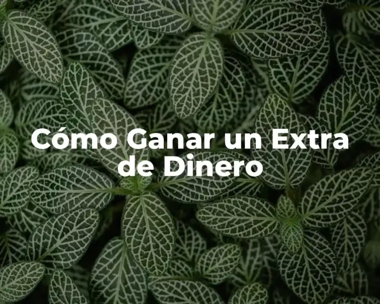 Cómo Ganar un Extra de Dinero