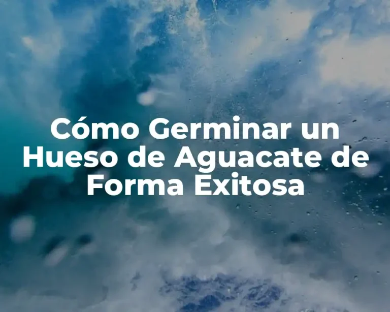 Cómo Germinar un Hueso de Aguacate de Forma Exitosa