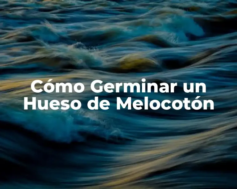 Cómo Germinar un Hueso de Melocotón