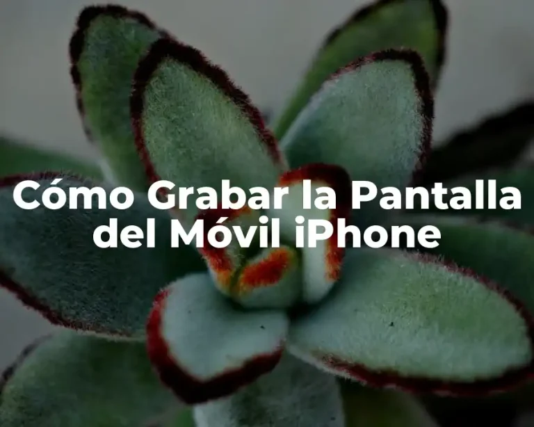 Cómo Grabar la Pantalla del Móvil iPhone