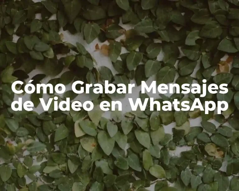 Cómo Grabar Mensajes de Video en WhatsApp