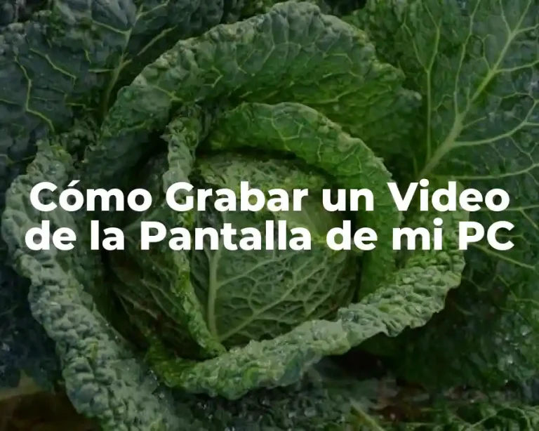 Cómo Grabar un Video de la Pantalla de mi PC