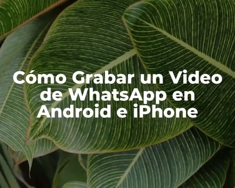 Cómo Grabar un Video de WhatsApp en Android e iPhone