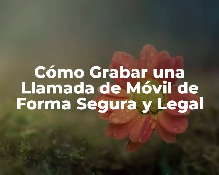 Cómo Grabar una Llamada de Móvil de Forma Segura y Legal