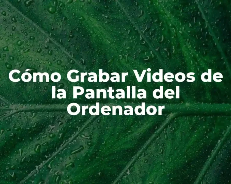 Cómo Grabar Videos de la Pantalla del Ordenador