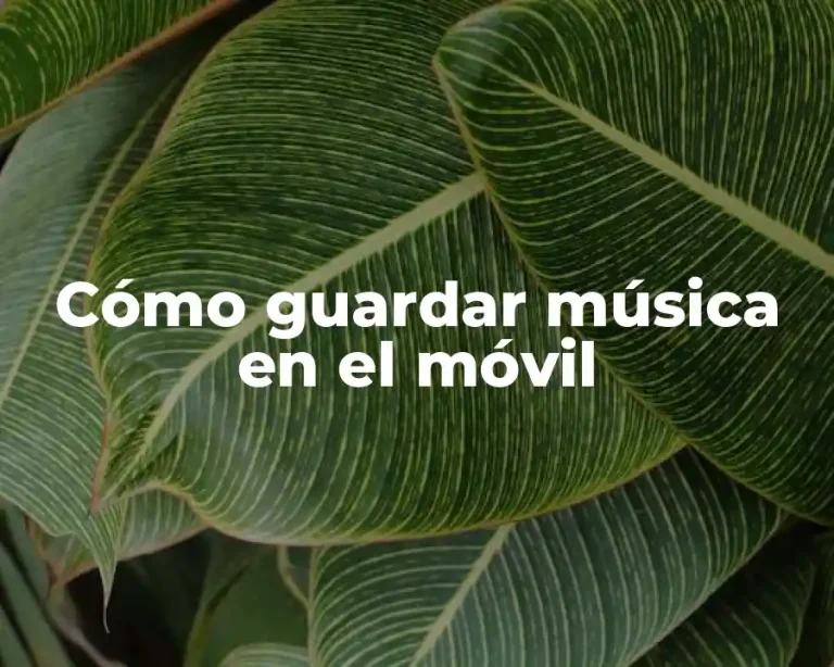 Cómo guardar música en el móvil