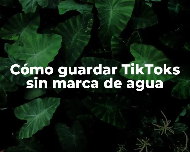 Cómo guardar TikToks sin marca de agua