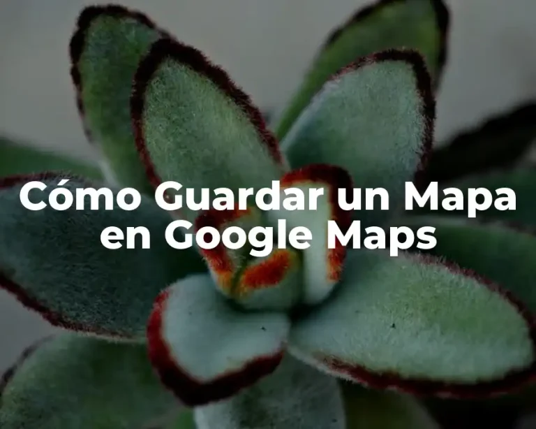 Cómo Guardar un Mapa en Google Maps