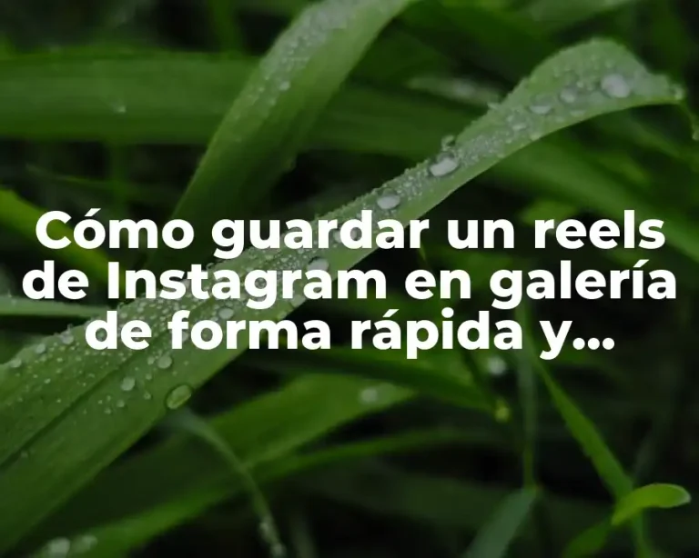 Cómo guardar un reels de Instagram en galería de forma rápida y sencilla